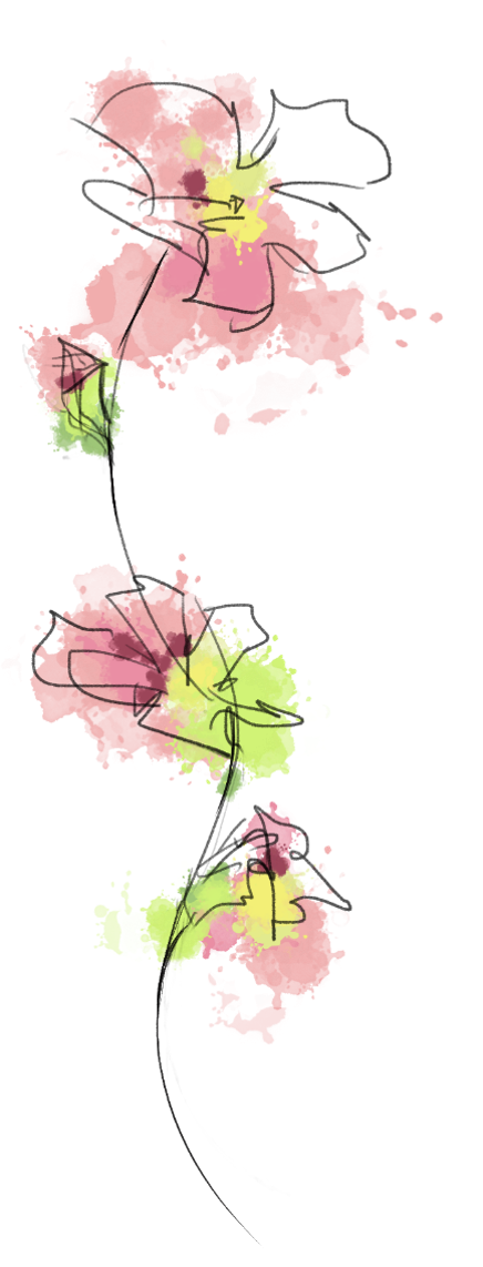 Loose watercolour flowers in rose pink and lime green on a curving inked stem.